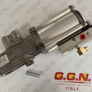 GGN017898 - 0501217407