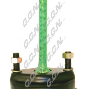 GGN003362 – BX 3538