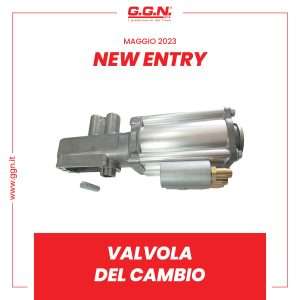 GGN_NEW ENTRY4